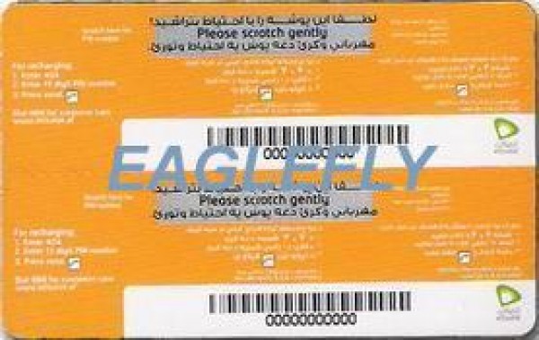 etisalat-8 back