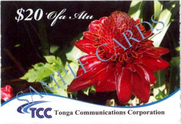 TCC 1 front